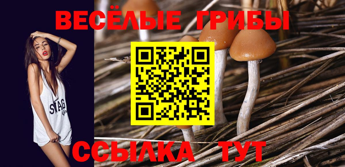 Апшеронск  Галлюциногенные грибы мицелий  Вход с VPN  Псилоцибиновые грибы мицелий 