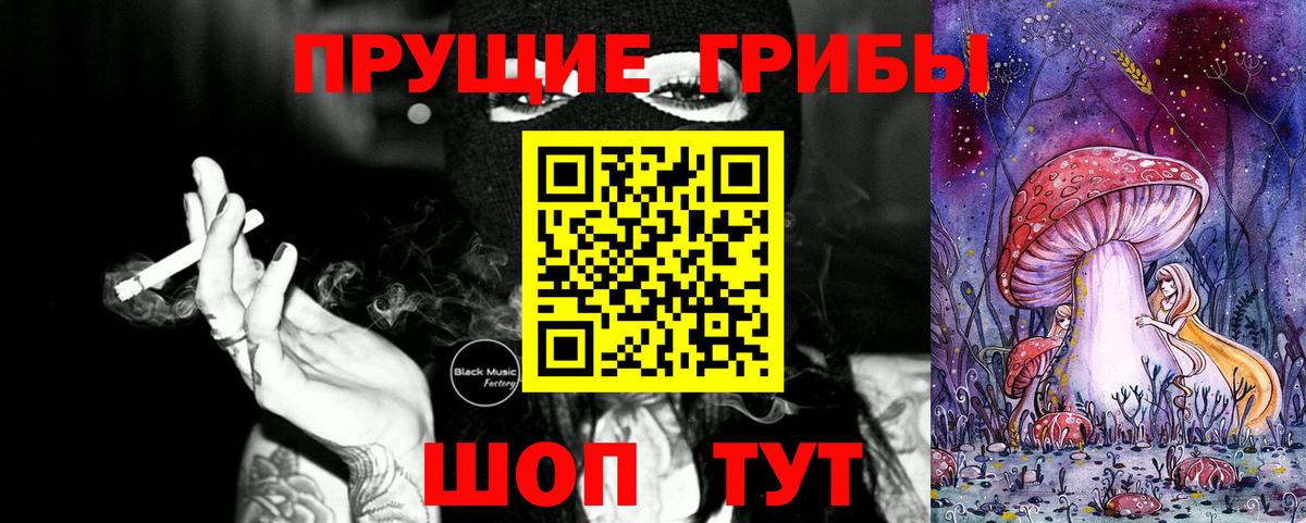 Псилоцибиновые грибы GOLDEN TEACHER Апшеронск